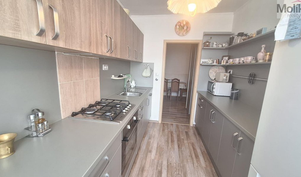 Prodej bytu 4+1 85 m², Teplice – náhled fotky 13