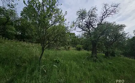 Prodej pozemku 4 253 m², Koryčany, okres Kroměříž
