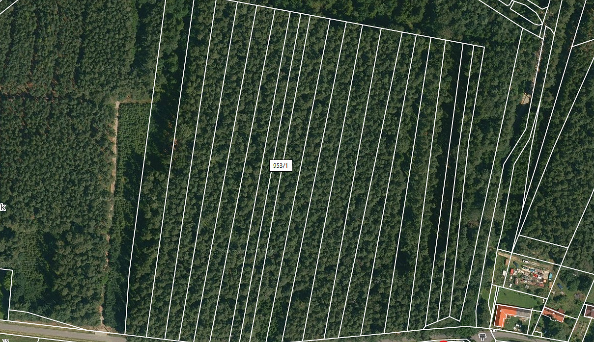 Prodej lesa 2 085 m²