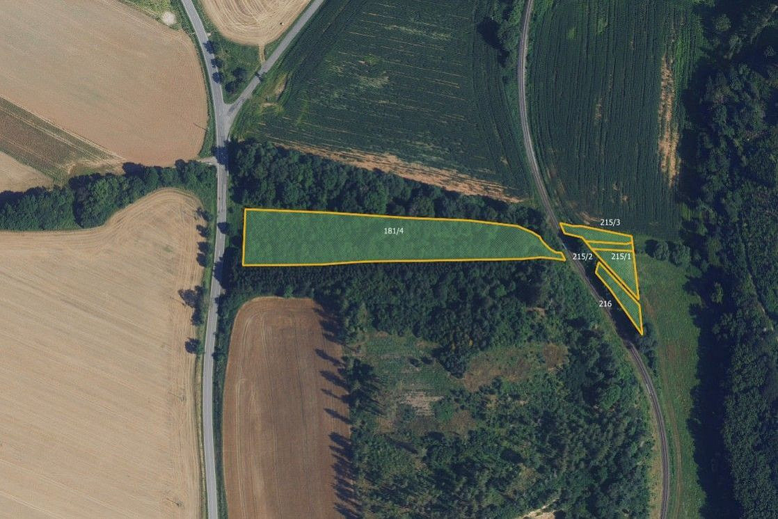 Prodej lesa 9 935 m²