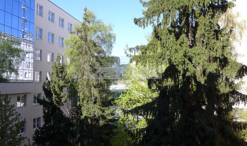 Prodej bytu 2+kk 55 m², Plzeň – náhled fotky 15