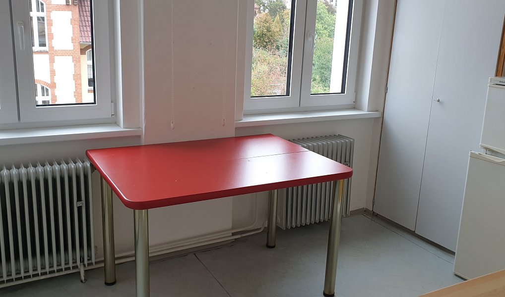Pronájem bytu 2+1 65 m², Teplice – náhled fotky 4