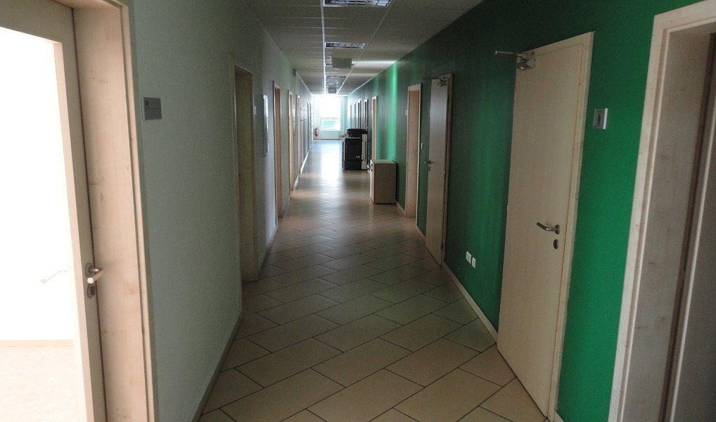 Pronájem kanceláře 500 m², Praha – náhled fotky 5