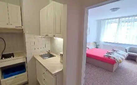 Pronájem bytu 1+kk 30 m²