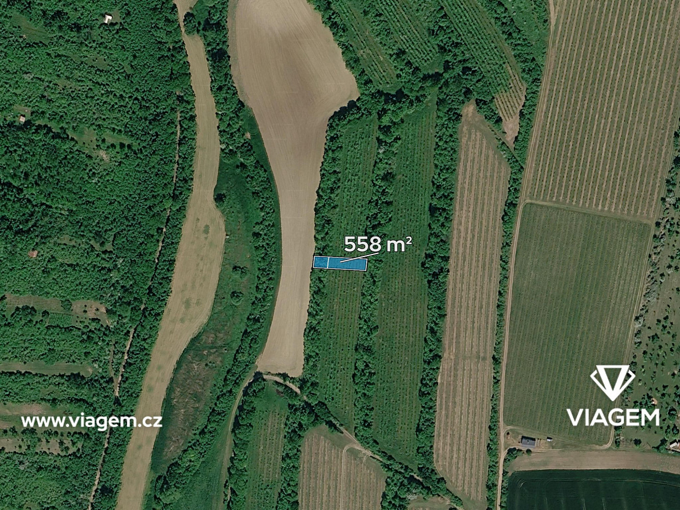 Prodej pole 558 m² — photo 2