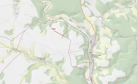 Dražba lesa 212 m², Bělá nad Svitavou