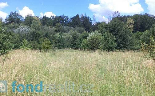 Prodej pozemku 12 879 m², Doudleby, okres České Budějovice