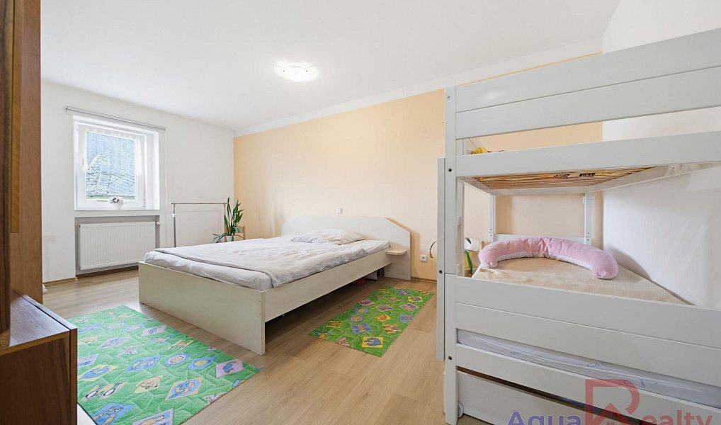 Prodej domu 330 m² s pozemkem 1 180 m², Stanovice – náhled fotky 14