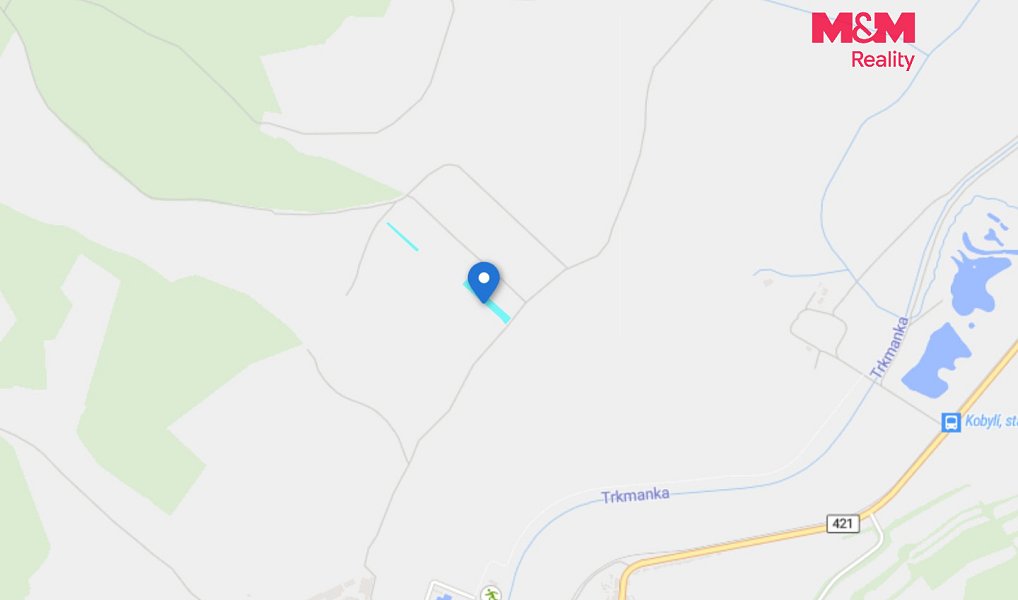 Prodej pole 2 899 m², Brumovice – náhled fotky 4