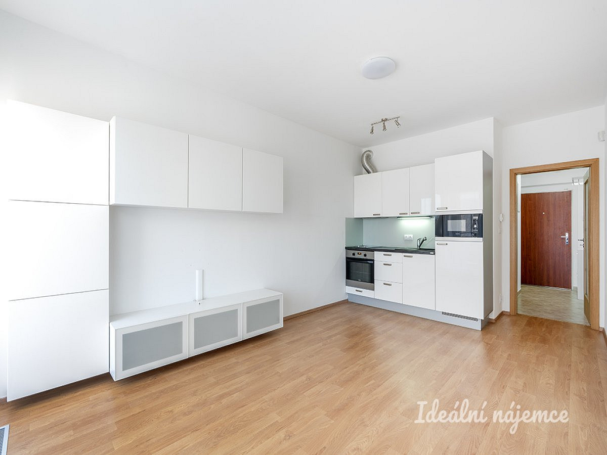 Pronájem bytu 1+kk 30 m²
