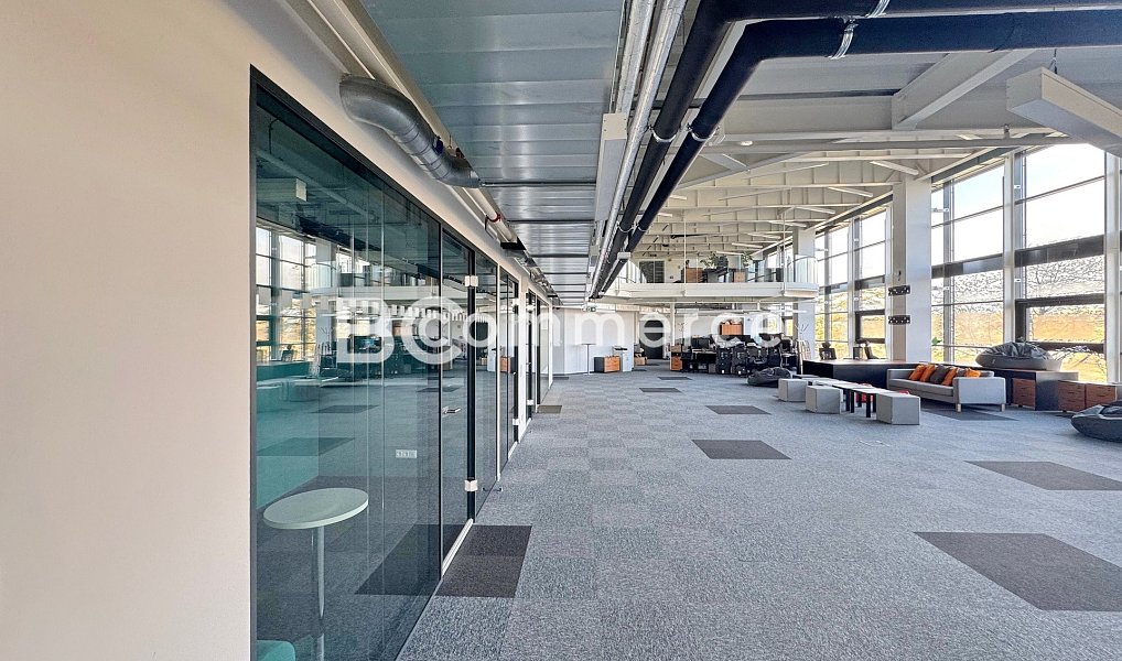 Pronájem kanceláře 150 m², Brno – náhled fotky 9