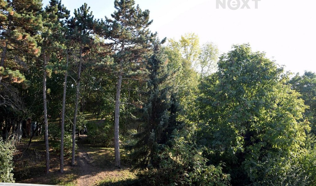Pronájem bytu 2+kk 68 m², Praha – náhled fotky 8
