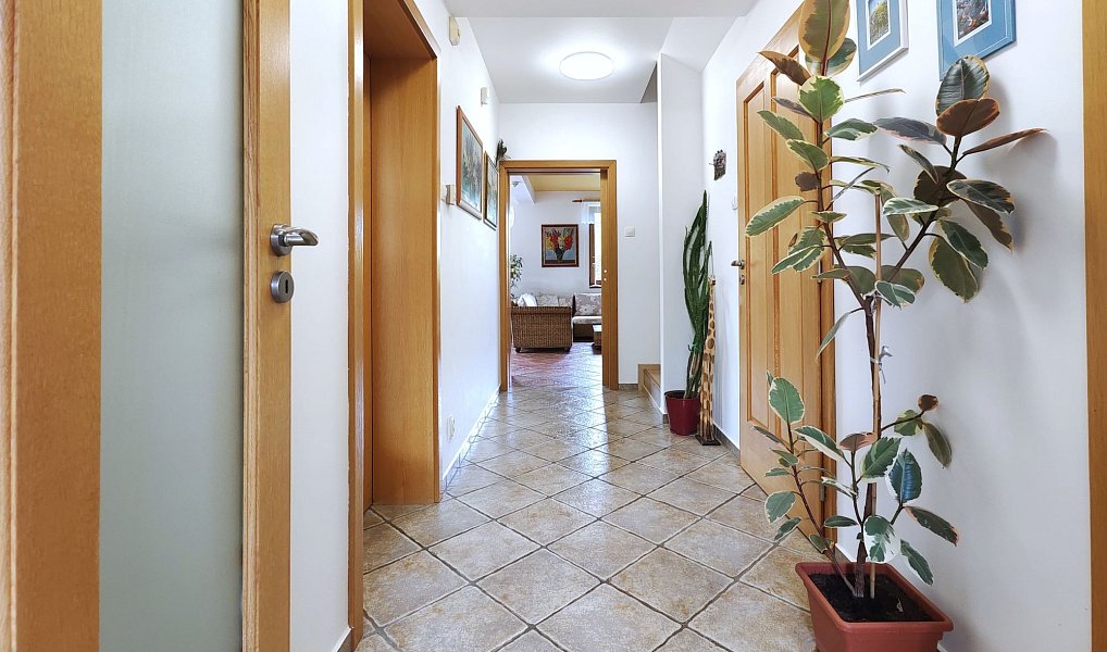 Prodej domu 224 m² s pozemkem 816 m², Nový Vestec – náhled fotky 21