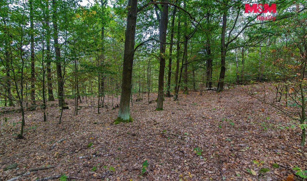 Prodej pole 51 974 m², Blíževedly – náhled fotky 3