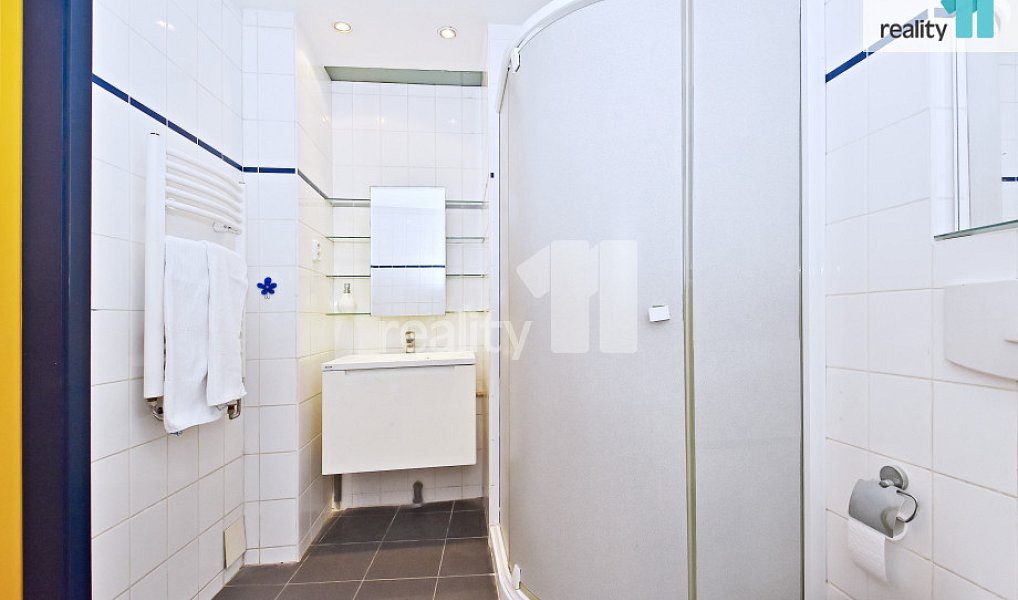 Pronájem bytu 5+kk 105 m², Praha – náhled fotky 15