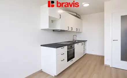 Pronájem bytu 1+kk 38 m², Jižní, Brno - Horní Heršpice