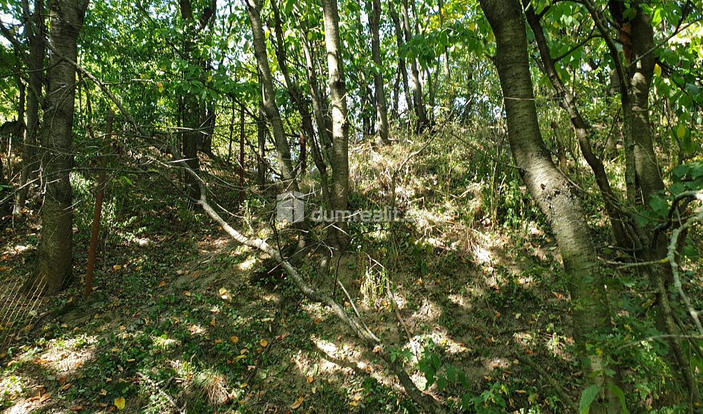 Prodej zahrady 1 141 m², Hranice – náhled fotky 10