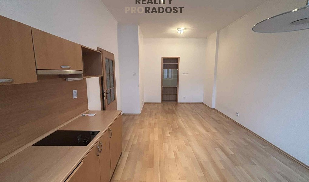Pronájem bytu 1+kk 46 m², Ostrava – náhled fotky 3