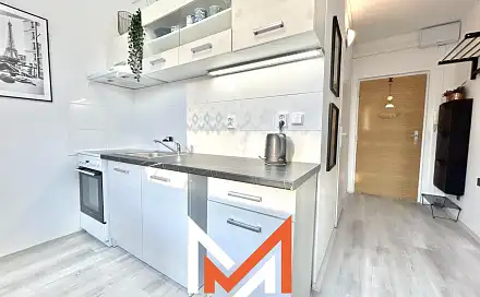 Pronájem bytu 1+1 36 m²
