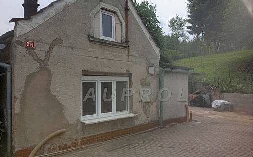 Prodej domu 61 m² s pozemkem 236 m², Libeňská, Řepín, okres Mělník