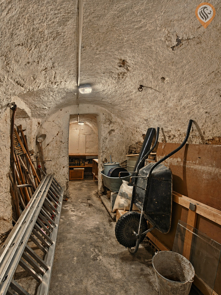Fotka 10 z 13