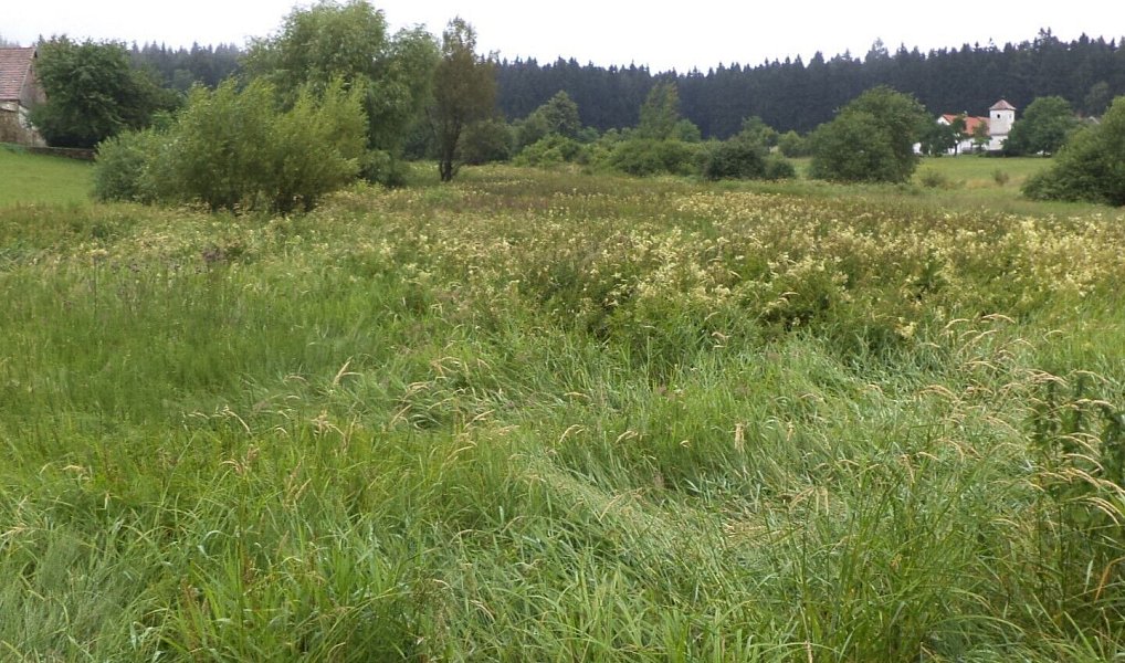 Prodej pozemku 2 148 m², Horní Radouň – náhled fotky 3