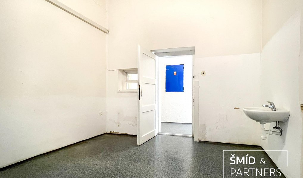 Prodej obchodních prostor 540 m², Zásmuky – náhled fotky 19