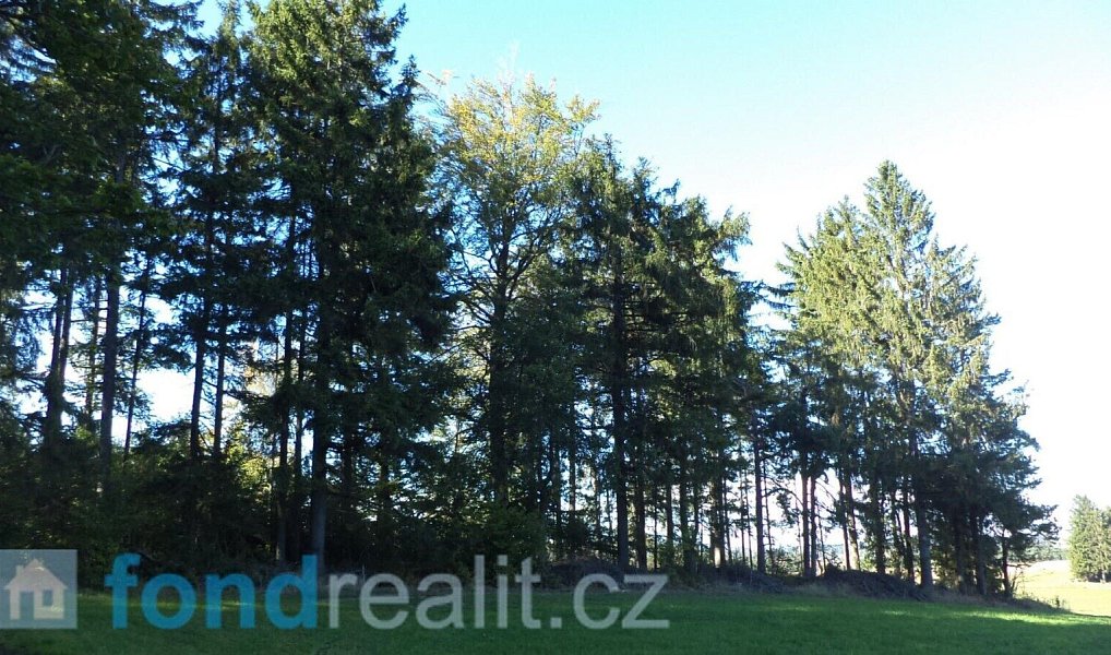 Prodej pozemku 4 992 m², Studená – náhled fotky 5