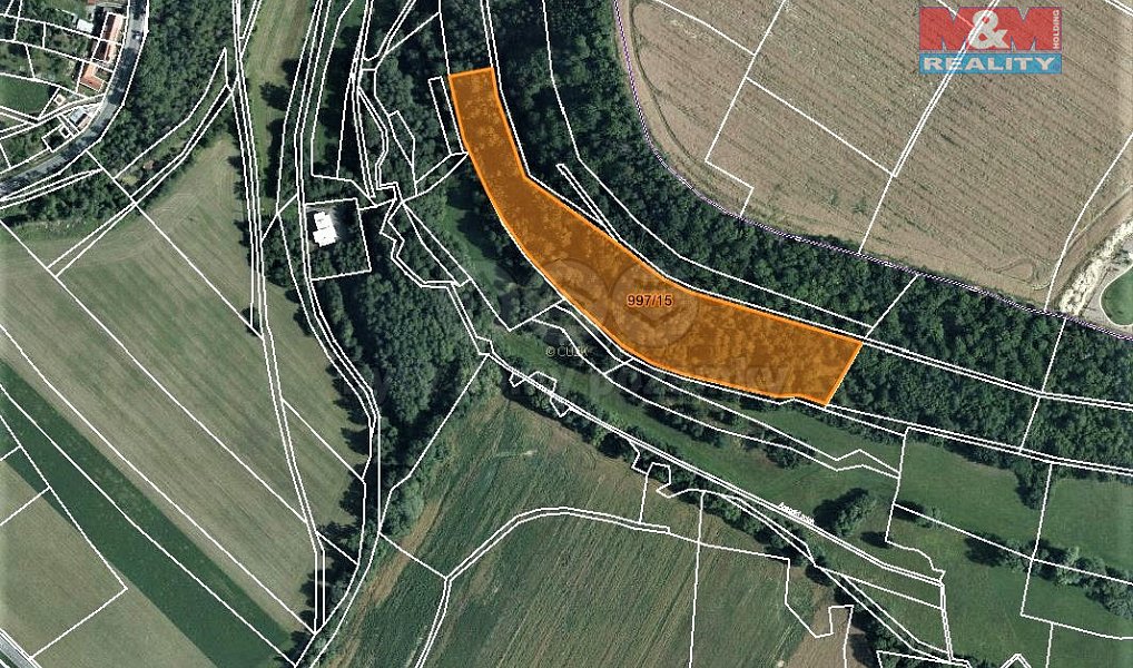 Prodej lesa 14 689 m², Skuteč – náhled fotky 4