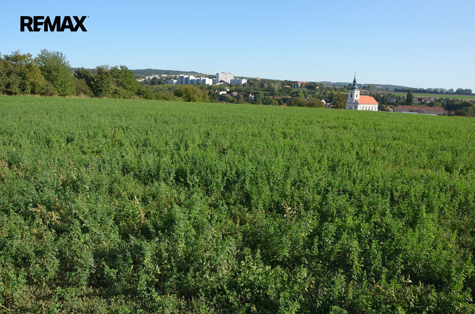 Prodej pole 3 819 m² — photo 3