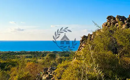 Prodej stavebního pozemku 26 000 m², San Pietro in Bevagna, Itálie