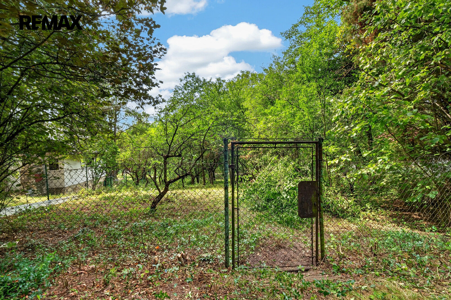 Prodej zahrady 862 m² – fotografie 5