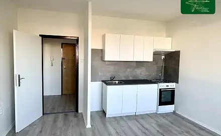 Prodej bytu 1+1 40 m², Cvikovská, Česká Lípa