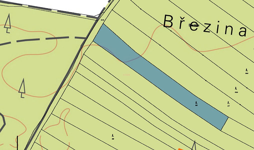 Prodej lesa 225 m², Sokoleč – náhled fotky 3