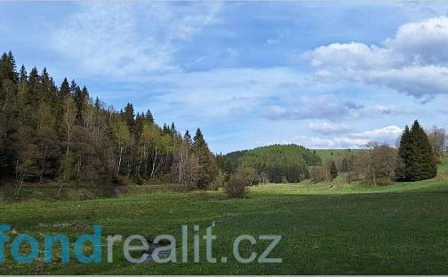 Prodej pole 58 322 m², Moldava, okres Teplice
