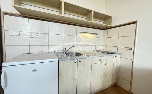 Pronájem bytu 1+kk 20 m², Krátká, Plzeň - Jižní Předměstí