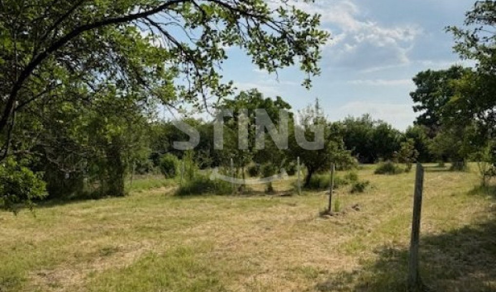 Prodej zahrady 3 628 m², Strážnice – náhled fotky 4