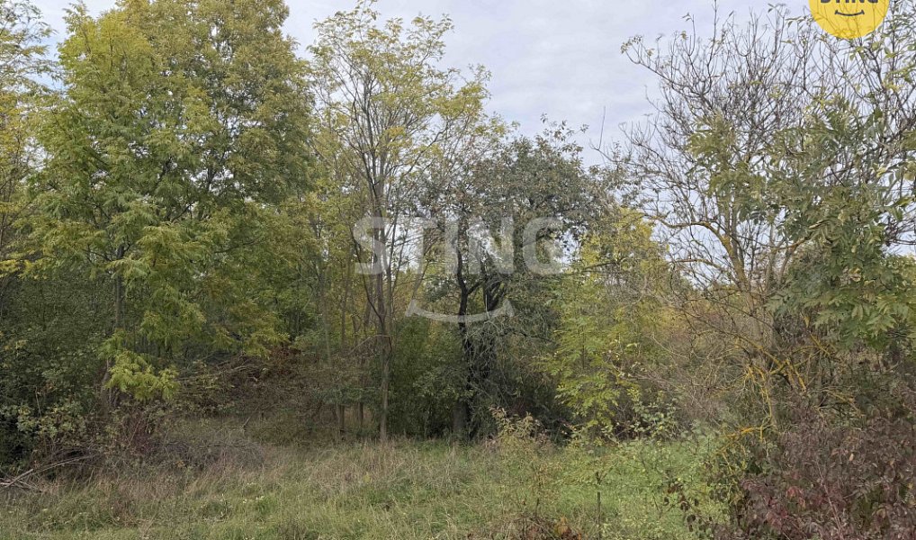 Prodej pozemku 10 074 m², Kleneč – náhled fotky 2