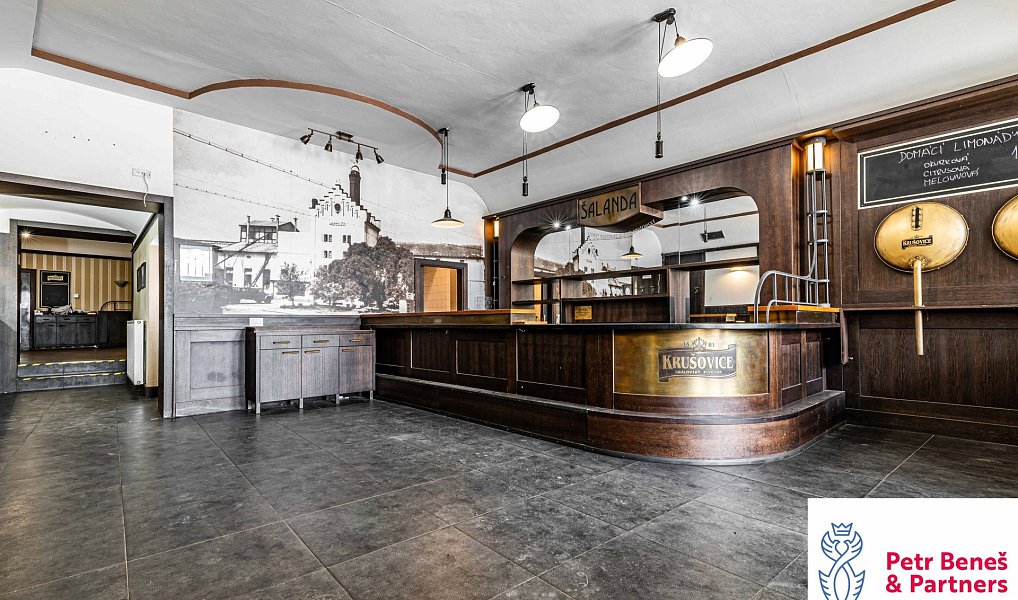 Prodej obchodních prostor 1 100 m², Rakovník – náhled fotky 12