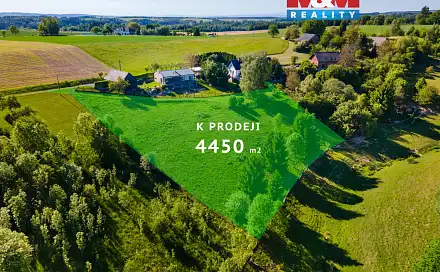 Prodej stavebního pozemku 4 450 m², Javornice, okres Rychnov nad Kněžnou