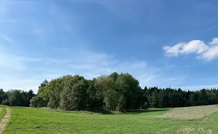Prodej lesa 12 651 m², Dlouhý Újezd, okres Tachov