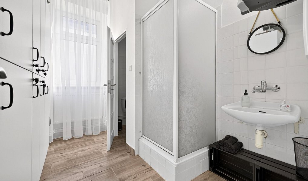 Prodej domu 489 m² s pozemkem 332 m², České Budějovice – náhled fotky 7