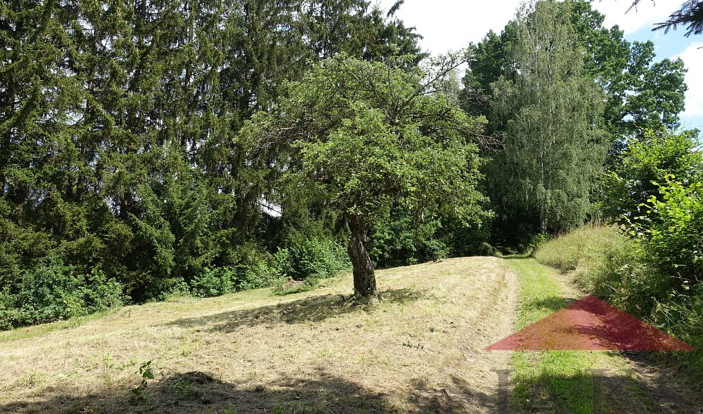 Prodej stavebního pozemku 1 205 m², Kašperské Hory – náhled fotky 3