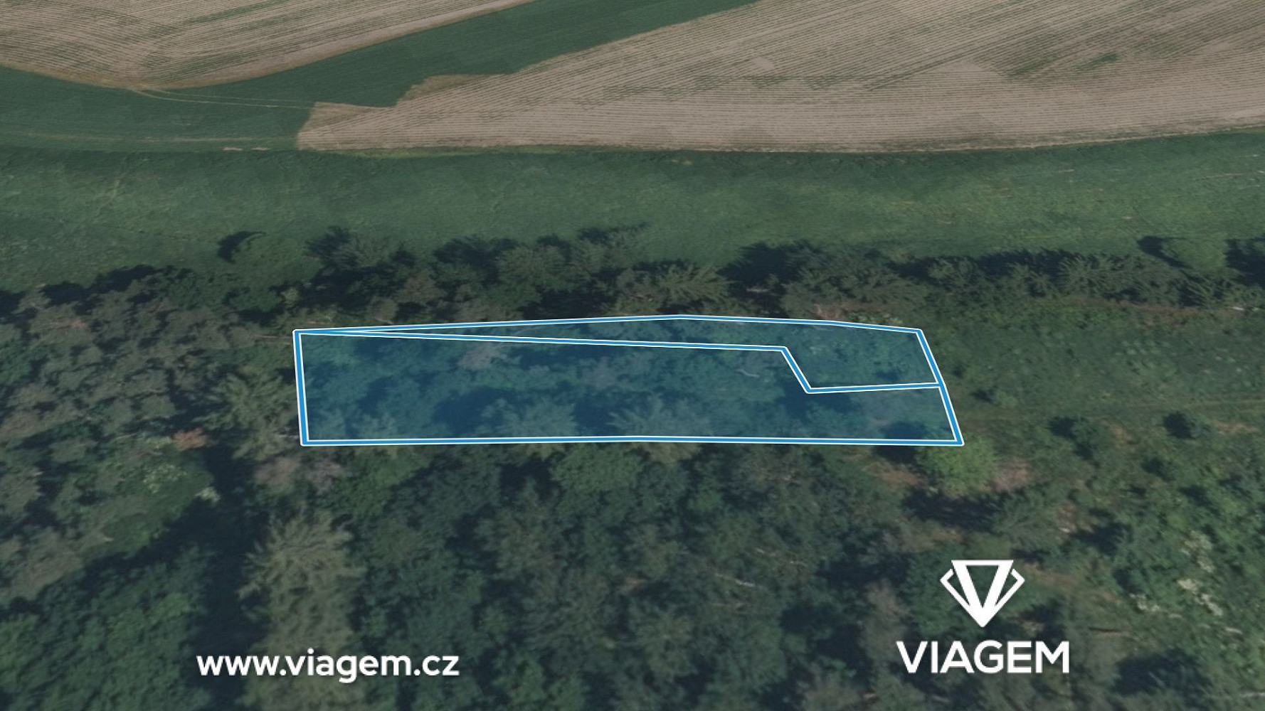 Prodej lesa 1 300 m² – fotografie 2