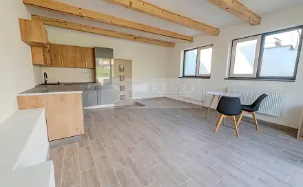 Pronájem bytu 2+kk 52 m²