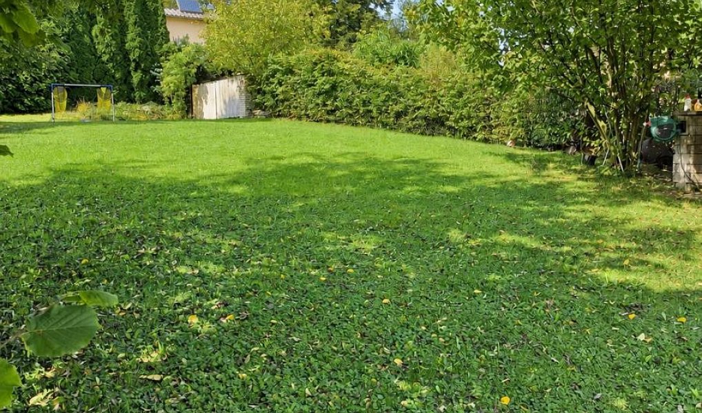 Prodej stavebního pozemku 884 m², Těrlicko – náhled fotky 12