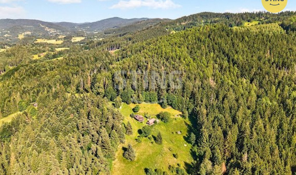 Prodej domu 2 989 m² s pozemkem 17 580 m², Hutisko-Solanec – náhled fotky 14