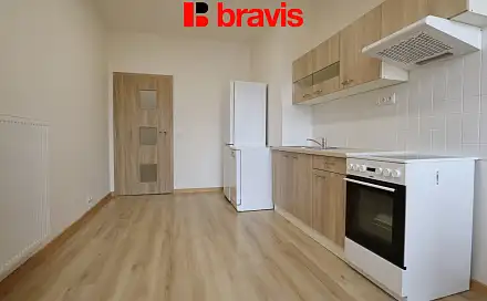 Pronájem bytu 2+1 75 m², Brno - Veveří