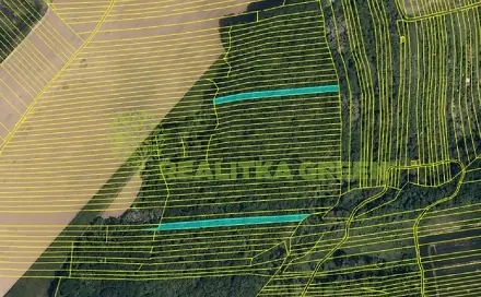 Prodej lesa 3 779 m², Popovice, okres Uherské Hradiště