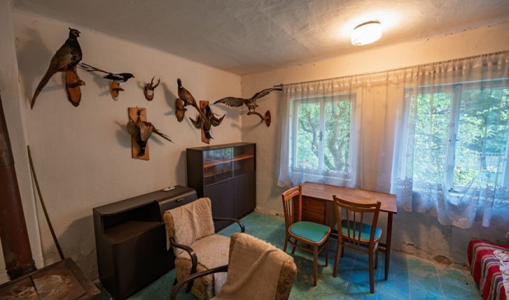 Prodej domu 70 m² s pozemkem 1 940 m², Nová Ves – náhled fotky 13